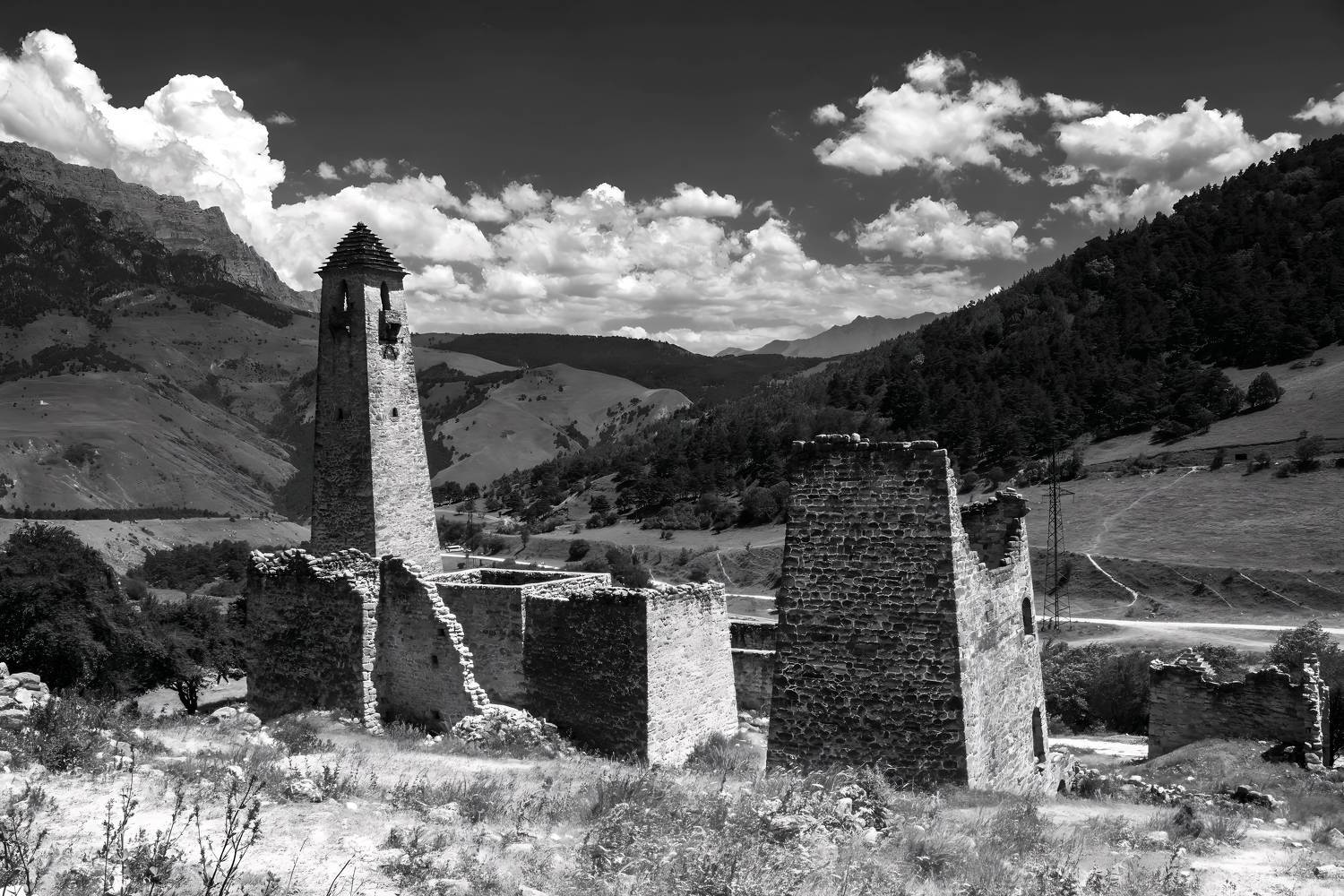 , Яндиев Адам