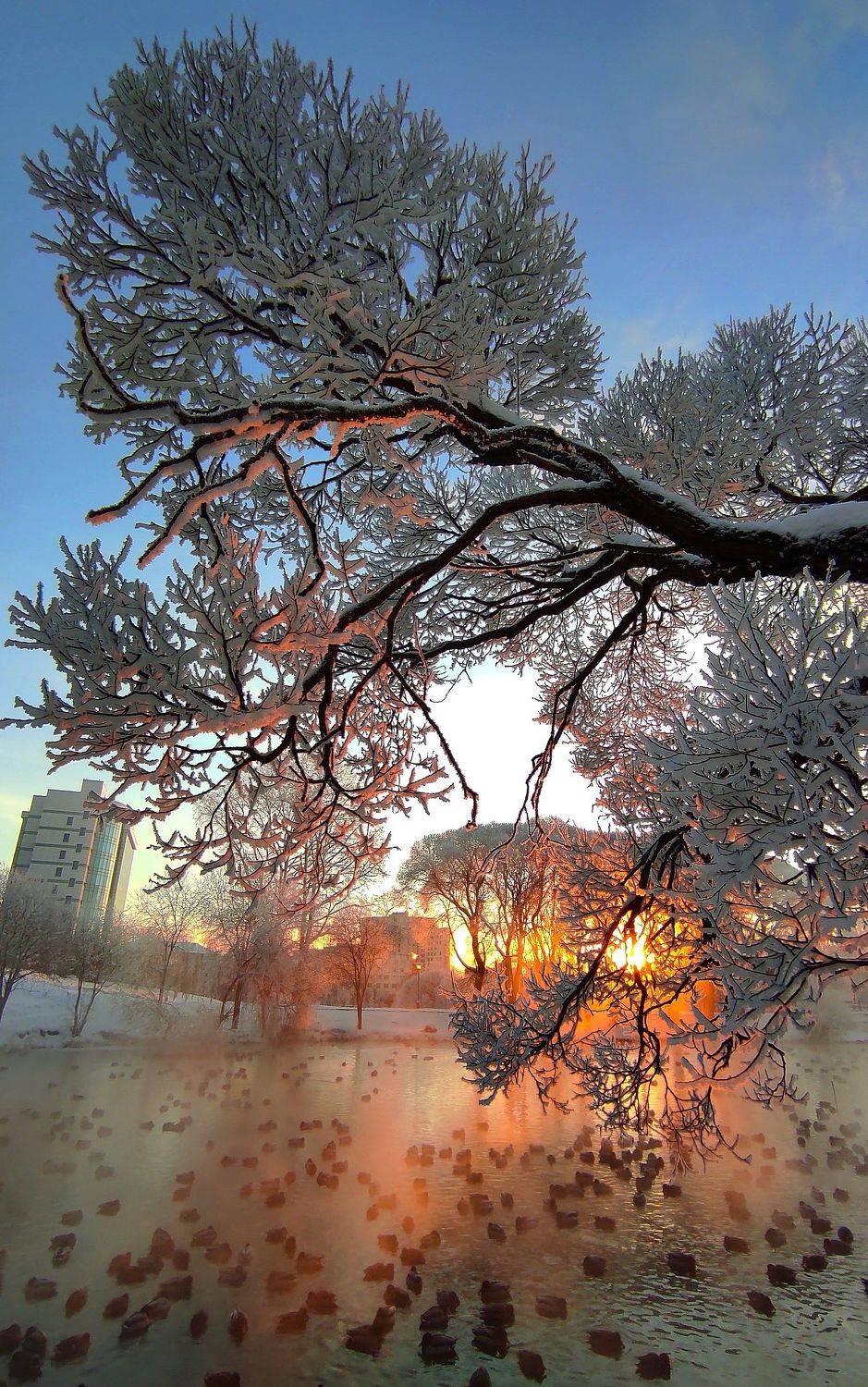 , Перешеин Андрей