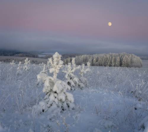 Скользящий свет