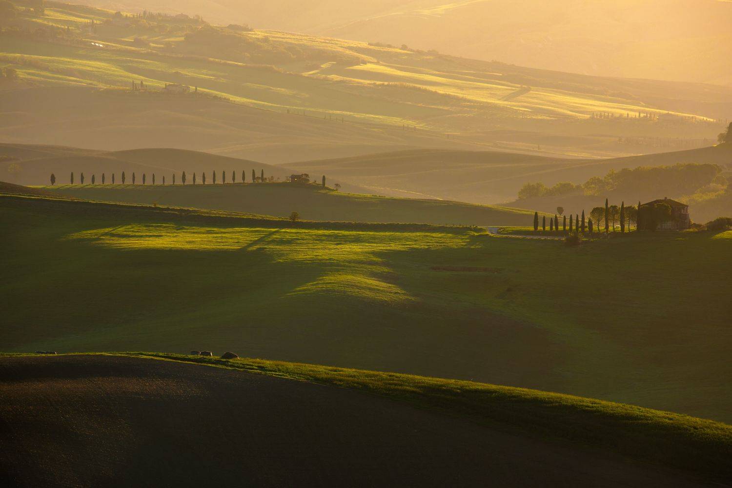 , Евгения Чех