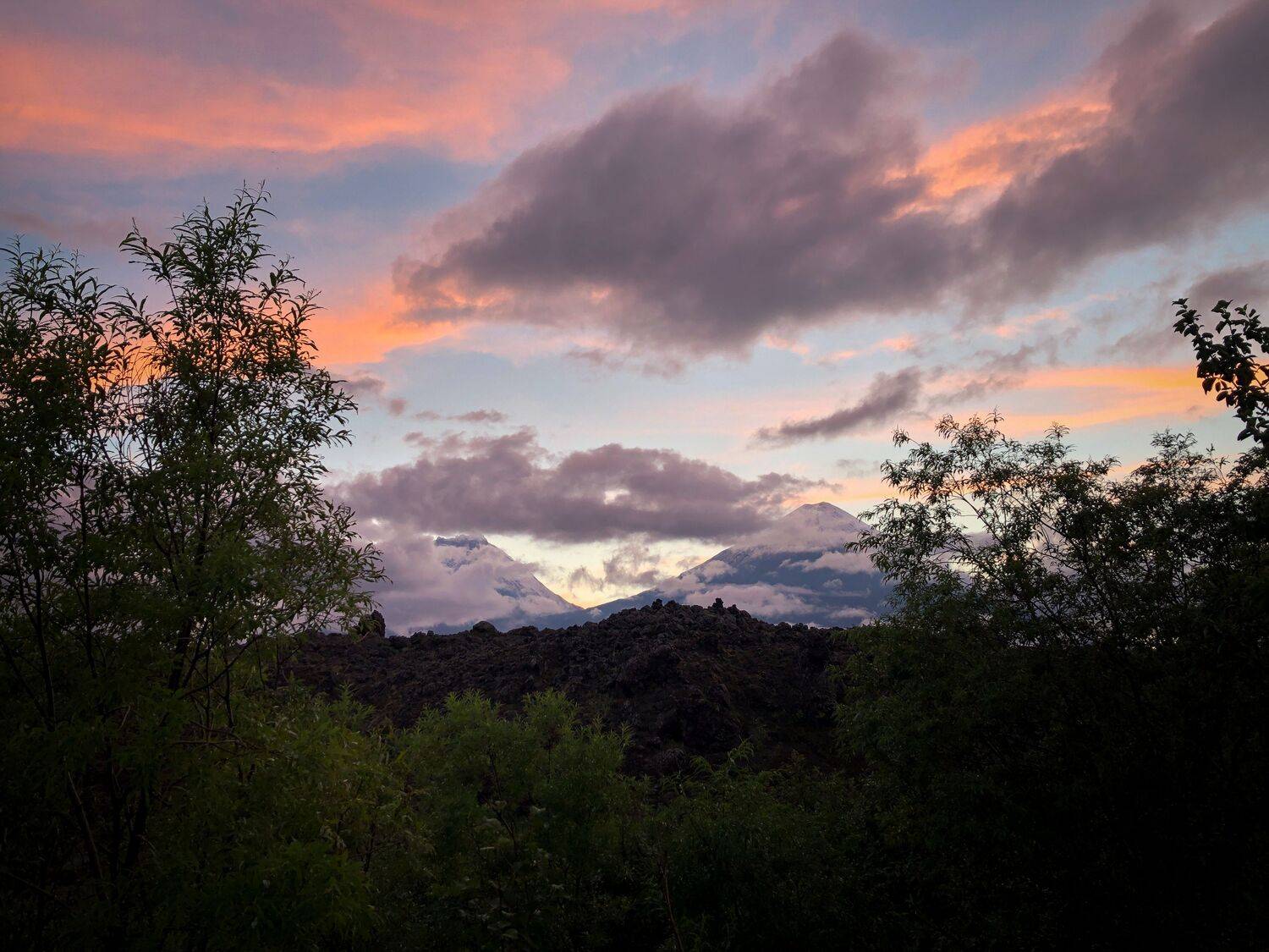 , Бравичева Анастасия