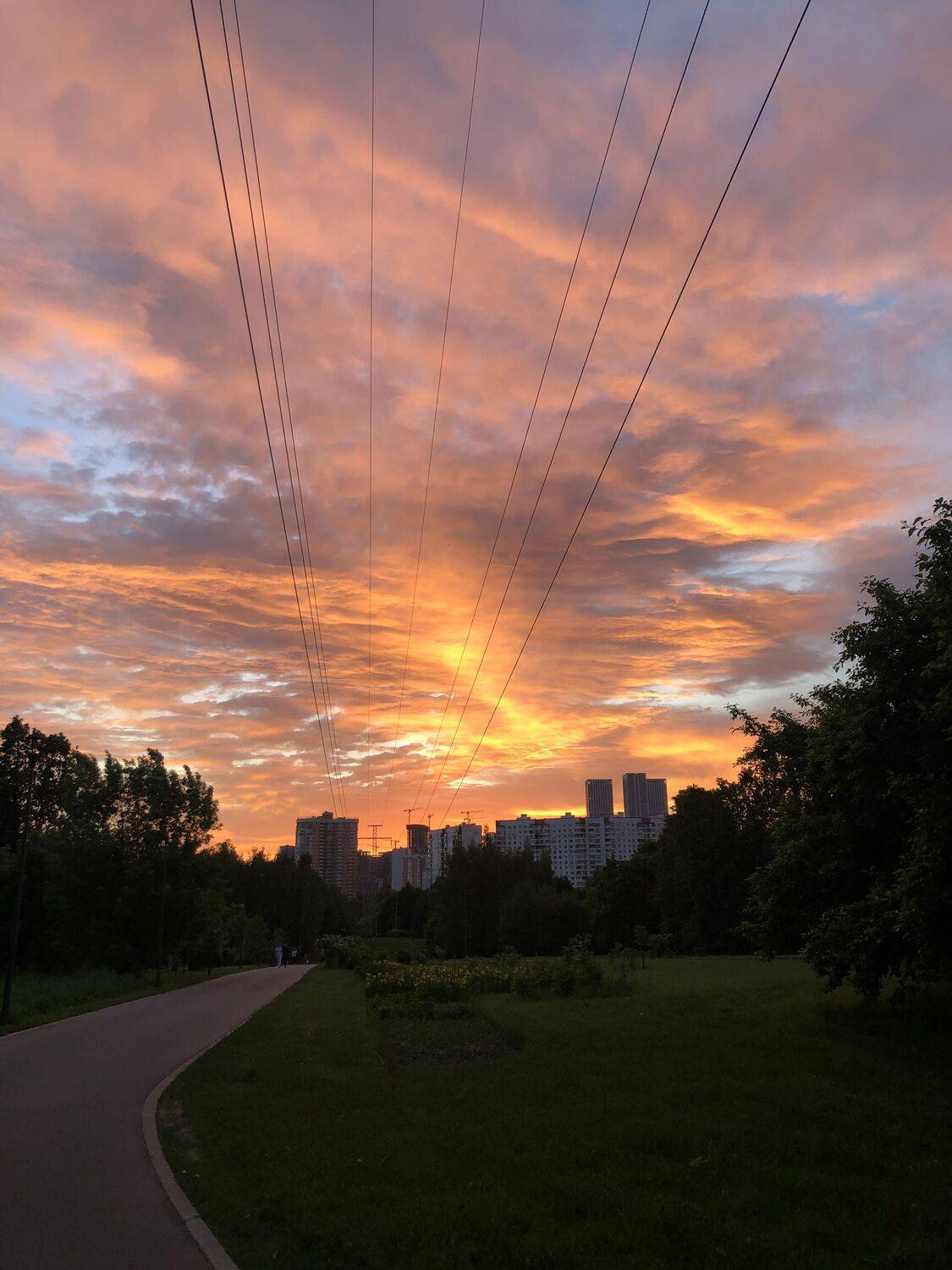 , Бравичева Анастасия