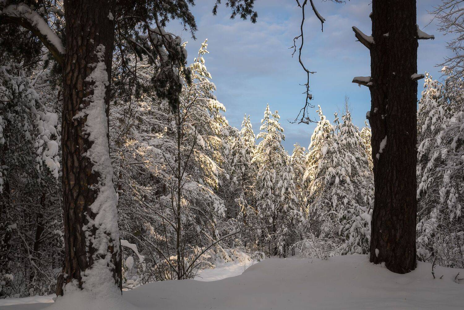 , Захаров Дмитрий