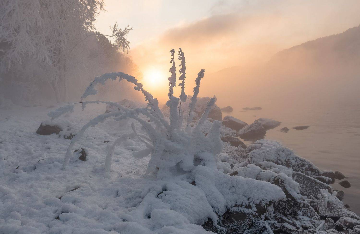 зима, сибирь, иней, мороз, река, Фомина Марина