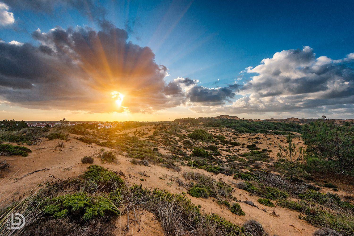 , Дмитрий Бакулин