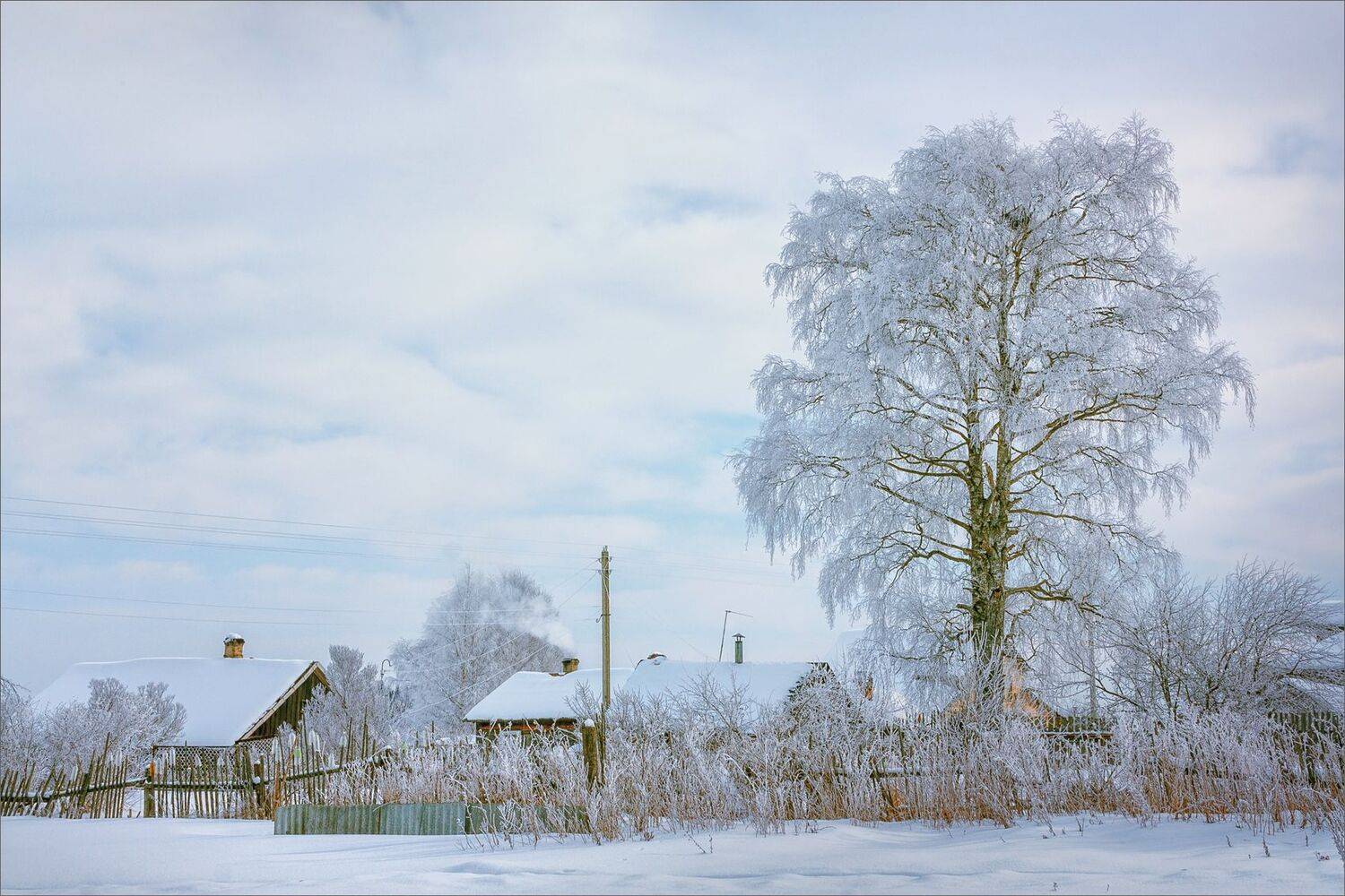 пейзаж, зима, деревня, свет, цвет, александр никитинский, Никитинский Александр
