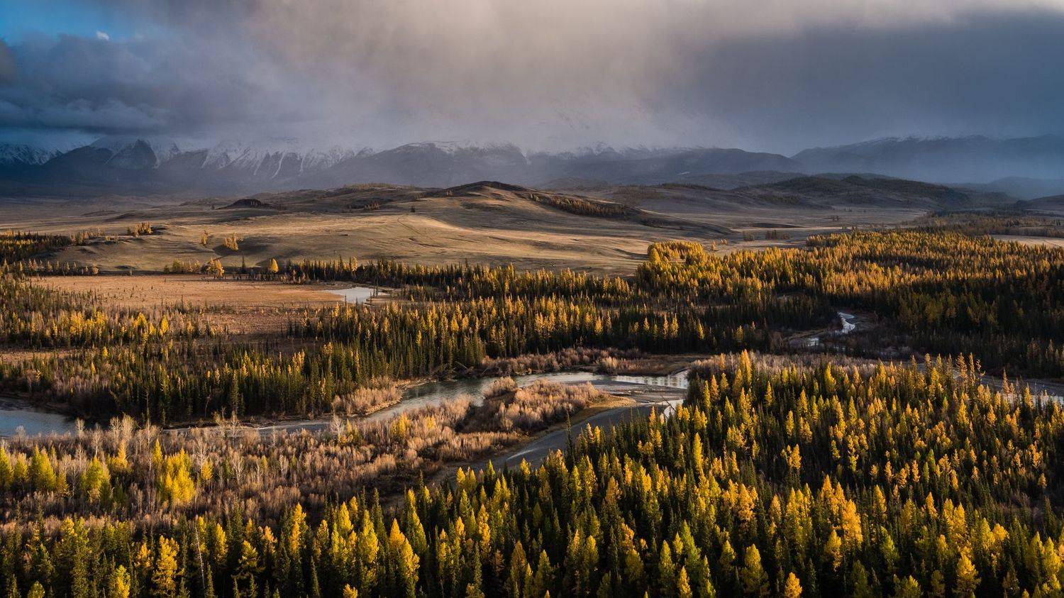 алтай, сибирь, россия, курайская степь, осень, горы, природа, пейзаж, altai, siberia, russia, kurai steppe, autumn, mountains, nature, landscape, Алексей Королёв
