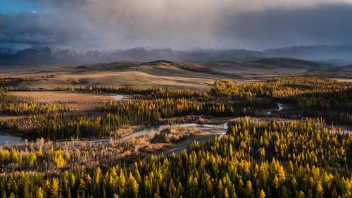 Курайская степь