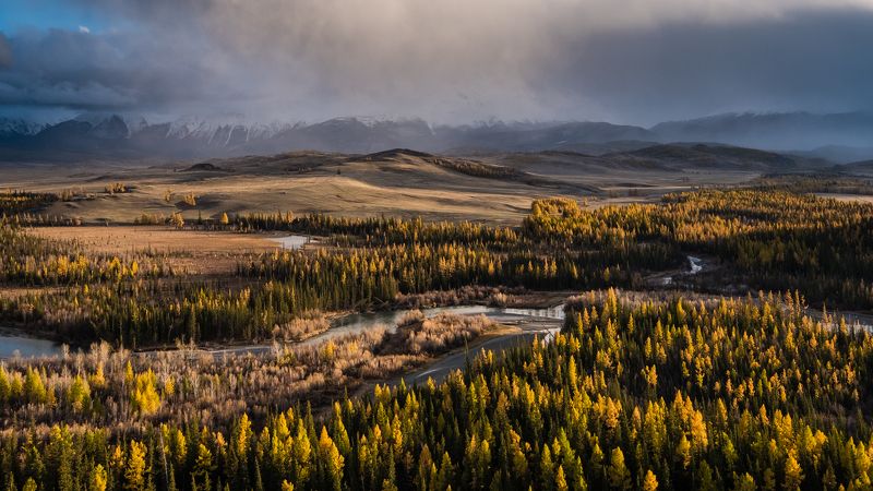 алтай, сибирь, россия, курайская степь, осень, горы, природа, пейзаж, altai, siberia, russia, kurai steppe, autumn, mountains, nature, landscape Курайская степь фото превью