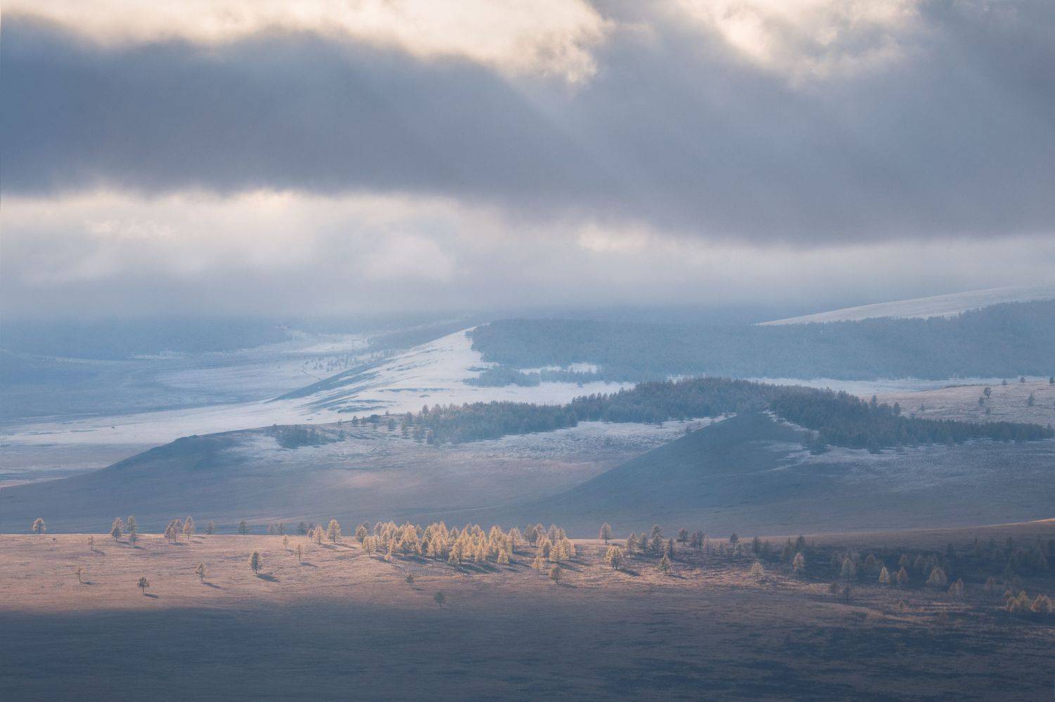 монголия, азия, осень, путешествие, степь, лиственницы, пейзаж, Елена Лебедева