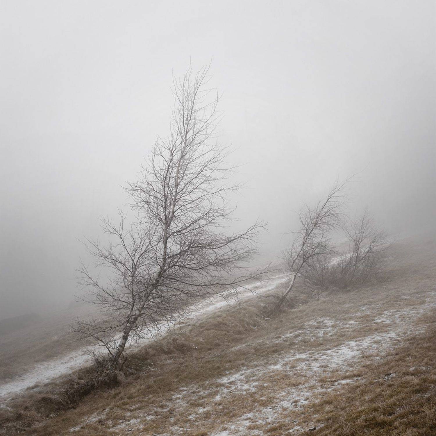 landscape, mountains, forest, woods, trees, tree, hiking, wood, outdoors, cz, czechrepublic, europe, valassko, beskydy, sigma, nikon, art, nature, beauty, scenery, outside, countryside, day, mist, fog, Овчинников Дмитрий