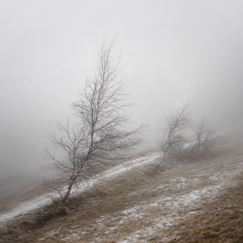 landscape, mountains, forest, woods, trees, tree, hiking, wood, outdoors, cz, czechrepublic, europe, valassko, beskydy, sigma, nikon, art, nature, beauty, scenery, outside, countryside, day, mist, fog Ожидание зимы фото превью