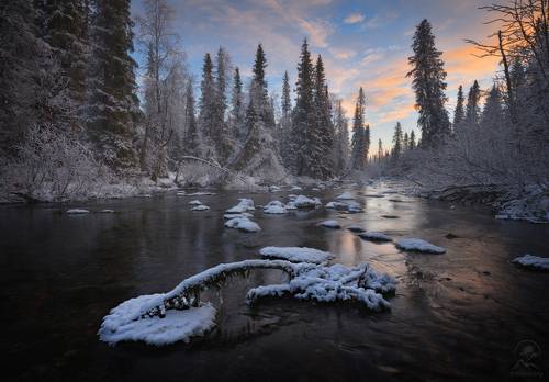 Незамерзайка