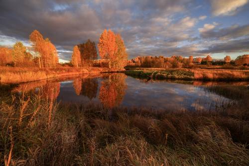 Золотая осень на маленькой речке