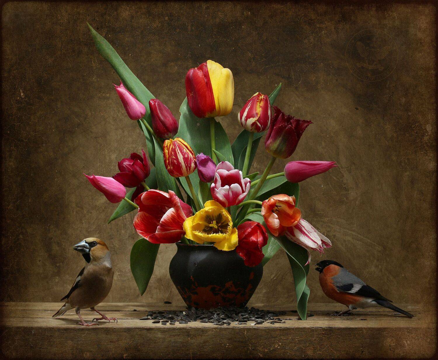 дубонос, Хромушин Олег