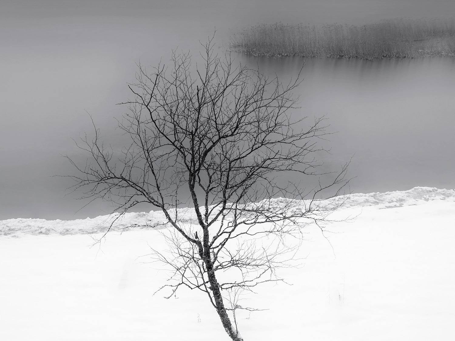 , Федотов Антон