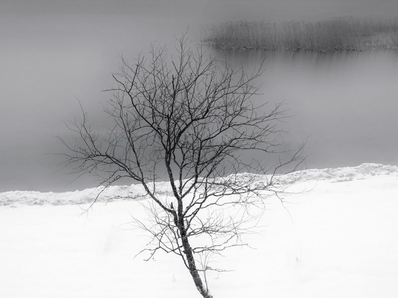 На стыке осени и зимы фото превью