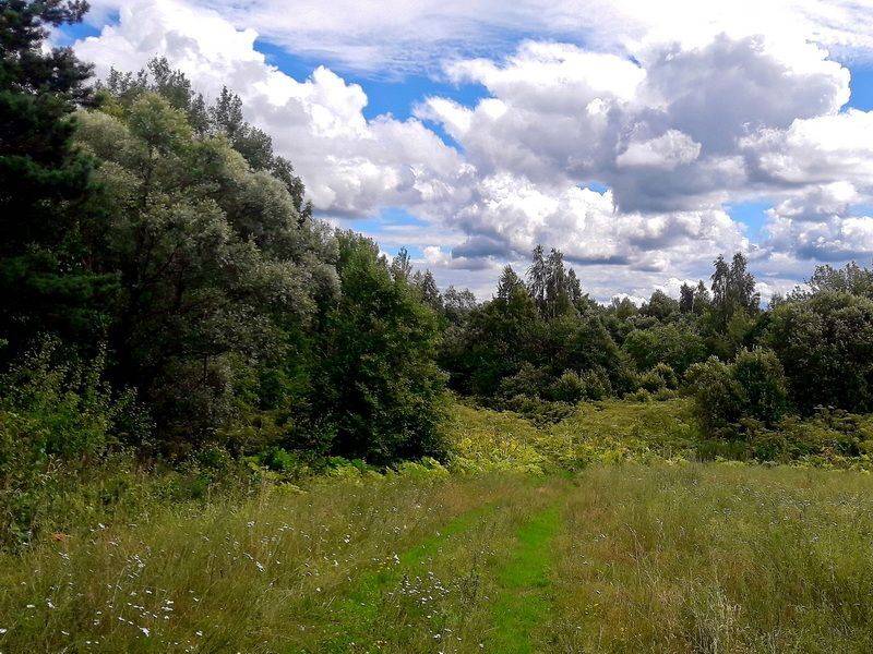 , Николаев Владимир