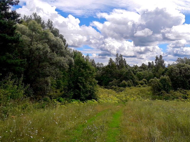 Было лето... фото превью