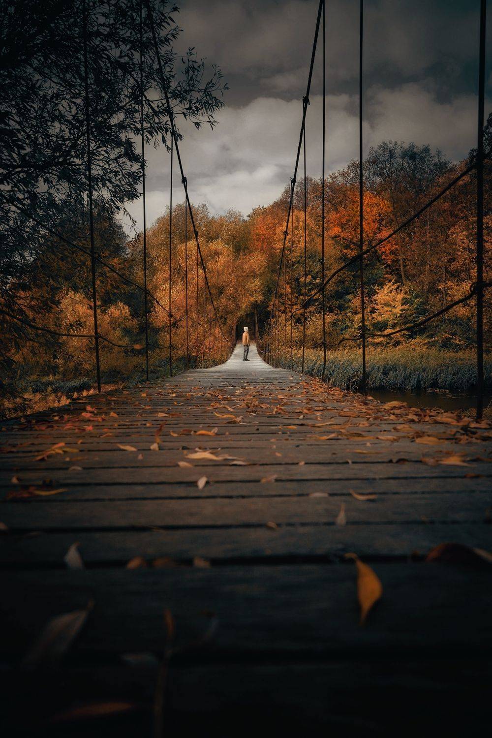 осень,осенние листья,вечер,краски осени, Татьяна Максакова