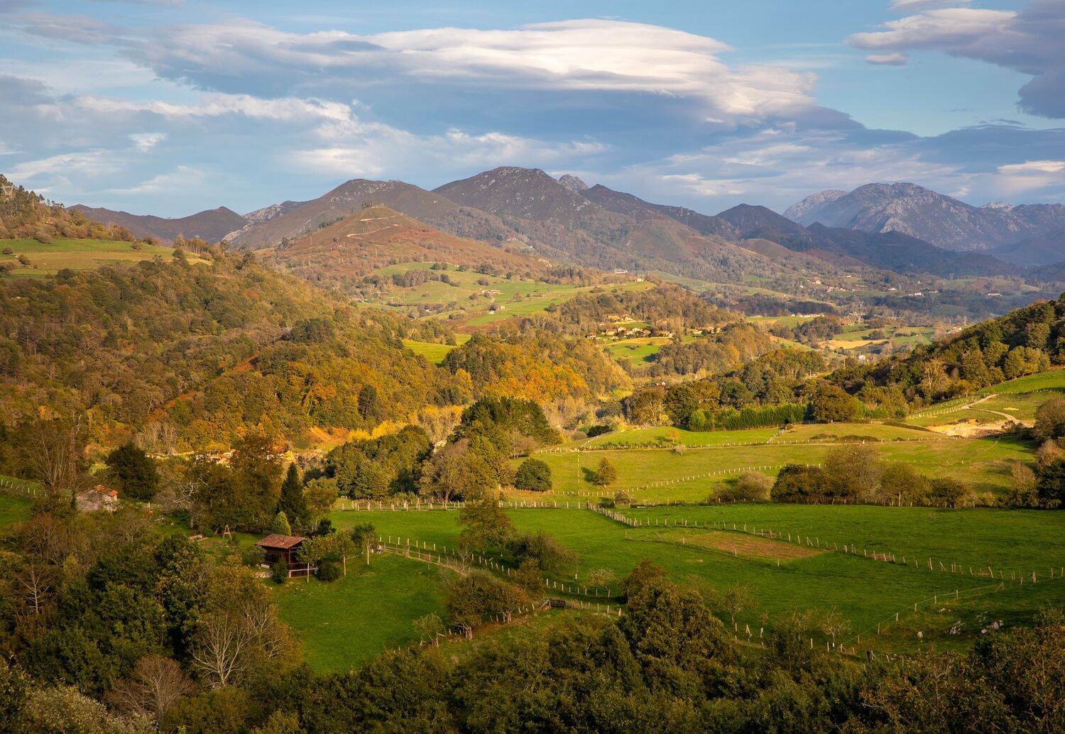 , Алекс Римский