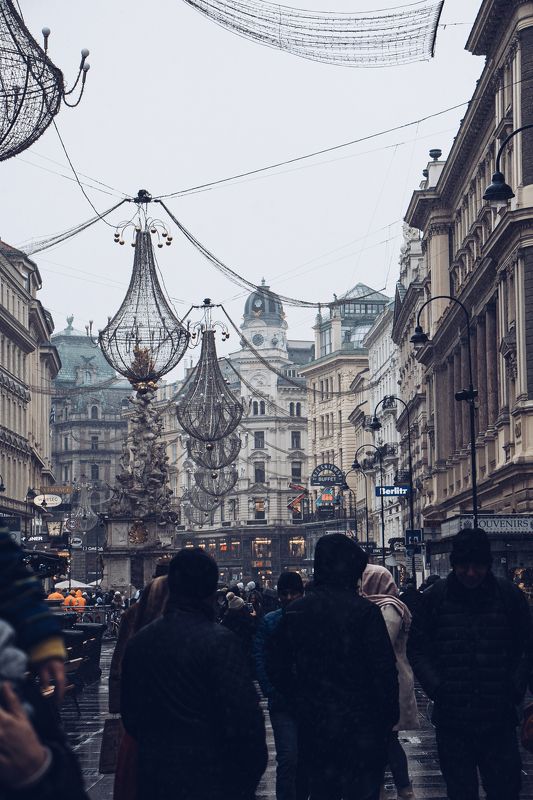 Вена фото превью