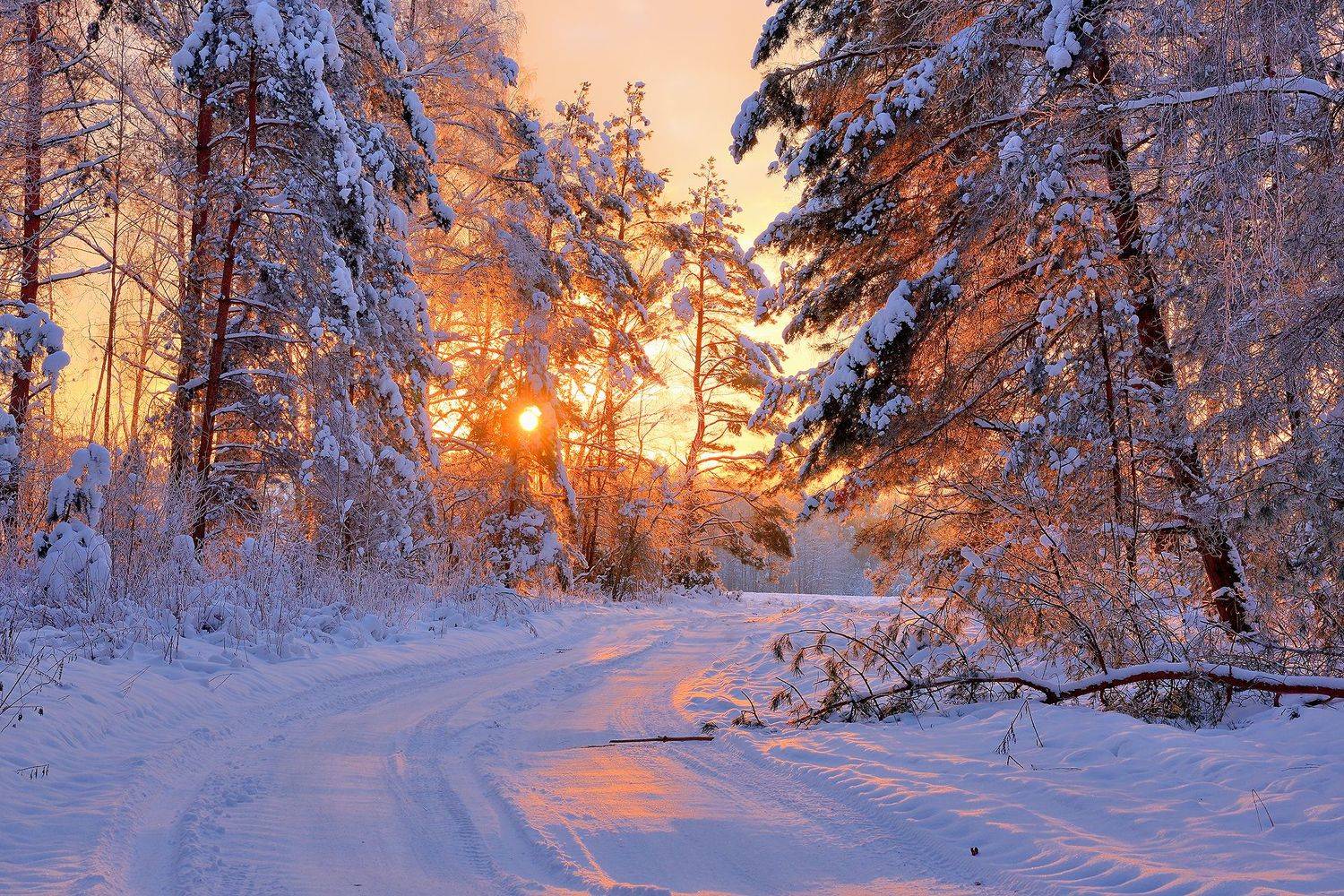 , Руслан Авдевич