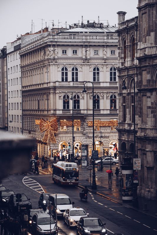 Вена фото превью