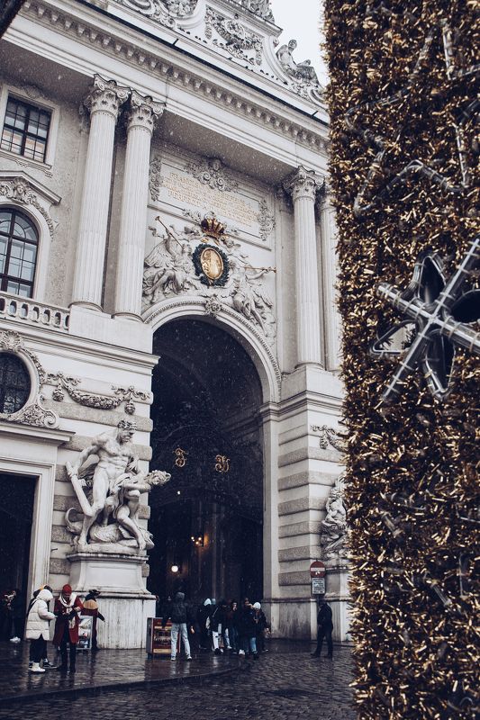 Вена фото превью