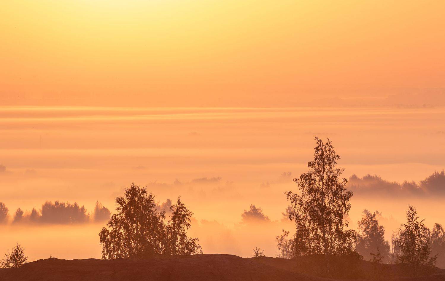 , Веревченко Михаил