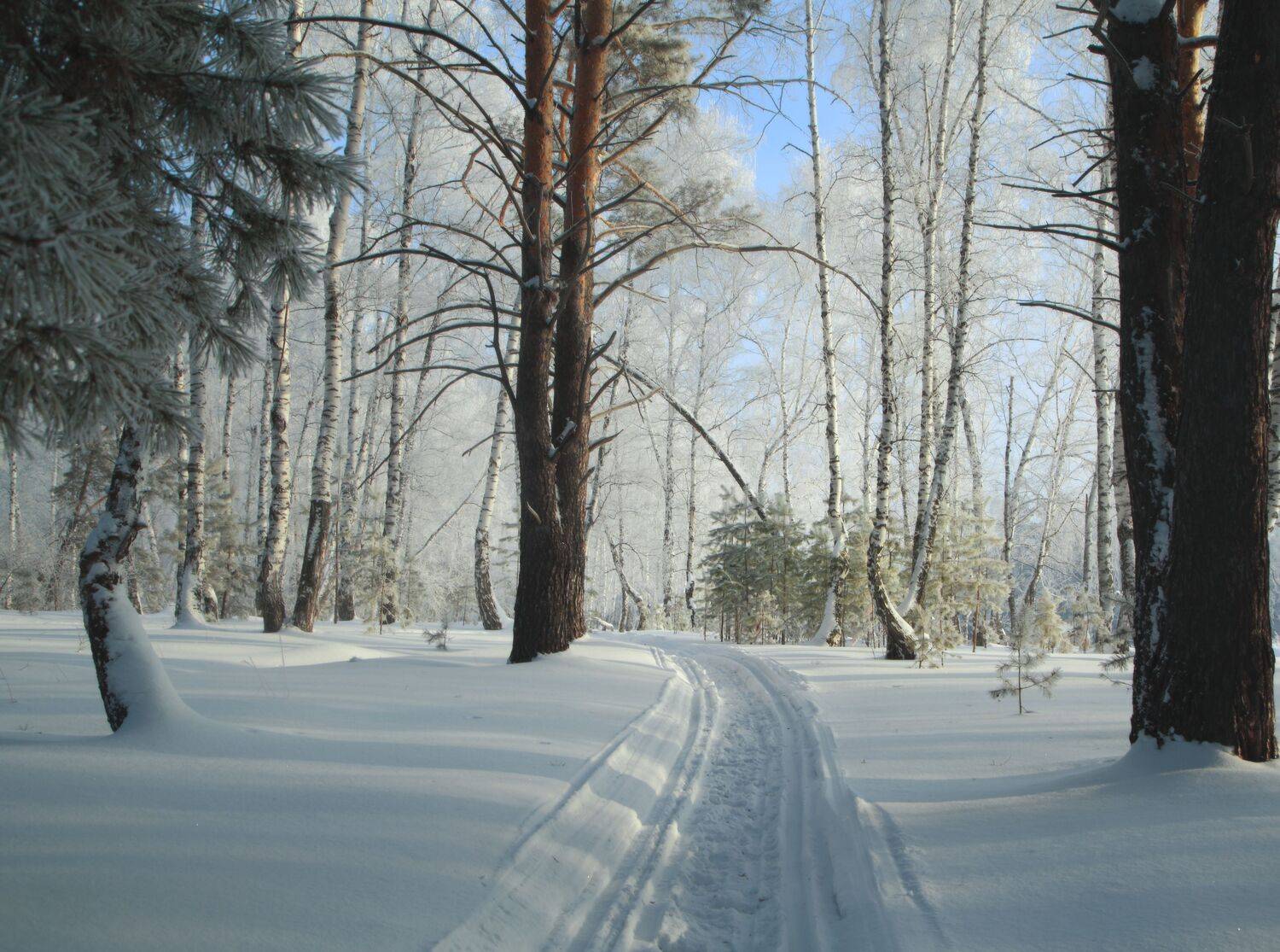 , Евгений Зинов