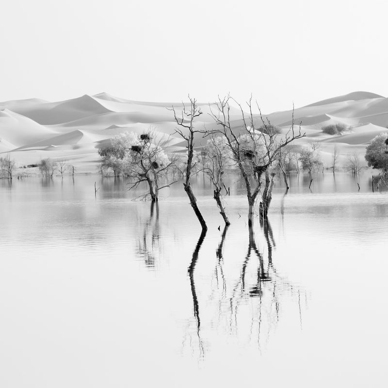 沙漠秋色 фото превью