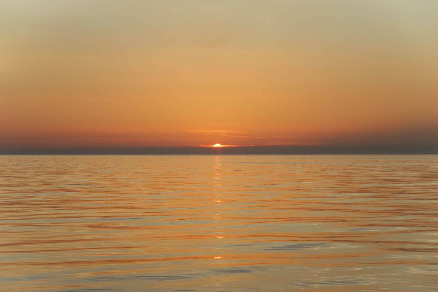 , Ольга Беккер