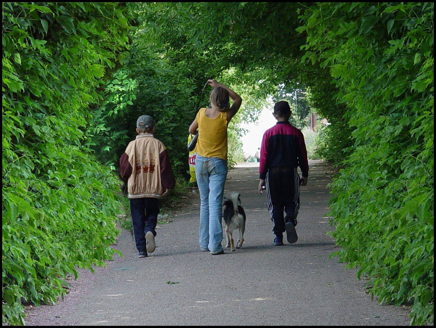 , Меднов Влад