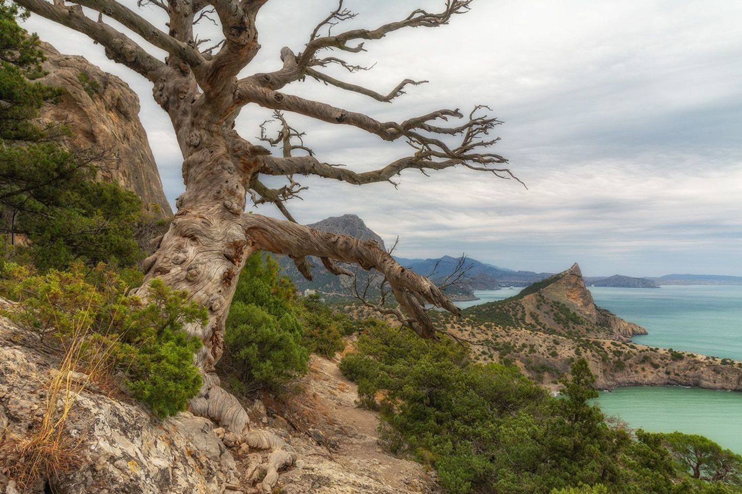 , Анатолий Зверев