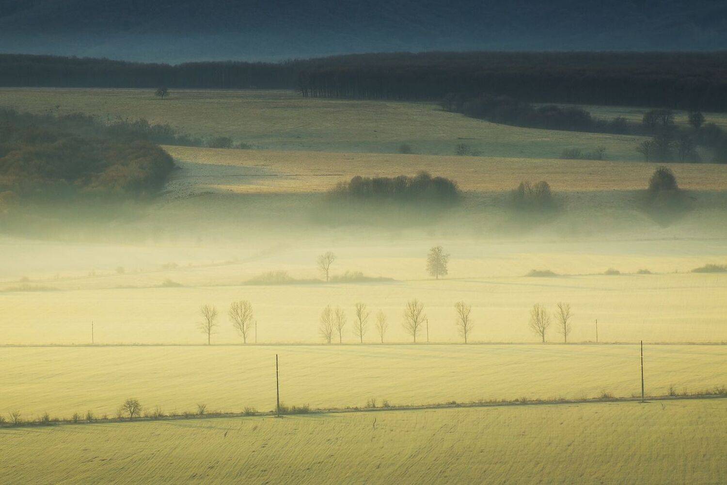 , Stefan Chirobocea