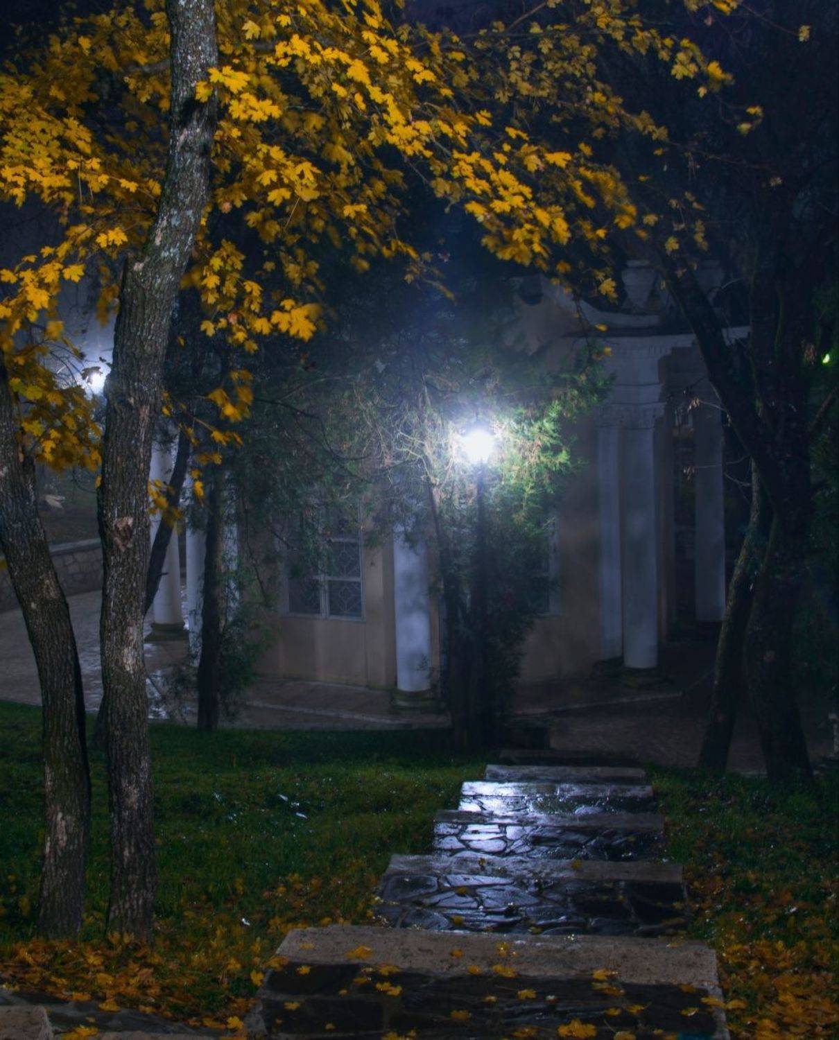 , Вадим Качанов