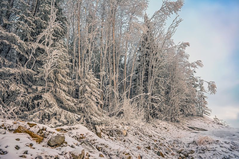 Графика зимнего дня на Кольском.... фото превью