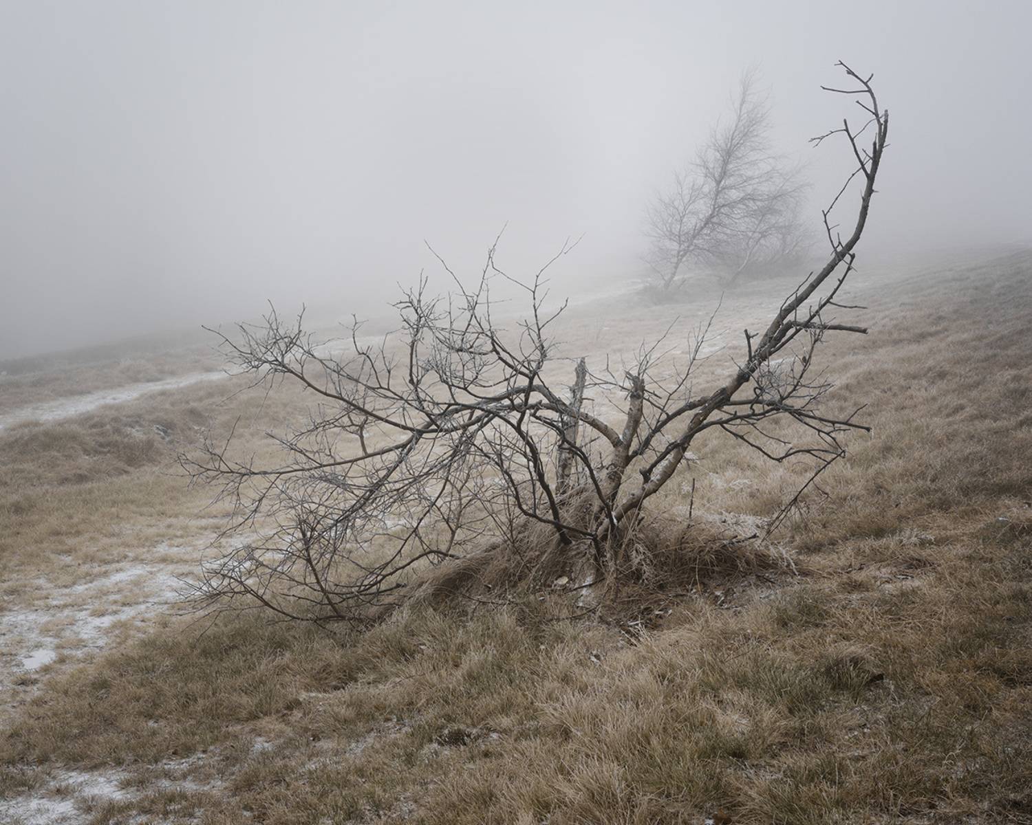landscape, mountains, forest, woods, trees, tree, hiking, wood, outdoors, cz, czechrepublic, europe, valassko, beskydy, sigma, nikon, art, nature, beauty, scenery, outside, countryside, day, mist, fog, Овчинников Дмитрий