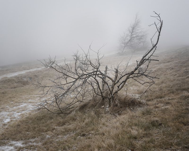 landscape, mountains, forest, woods, trees, tree, hiking, wood, outdoors, cz, czechrepublic, europe, valassko, beskydy, sigma, nikon, art, nature, beauty, scenery, outside, countryside, day, mist, fog Мечта фото превью