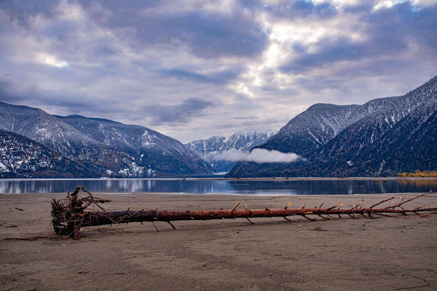 алтай. осень. горы., Евгений Дроботенко