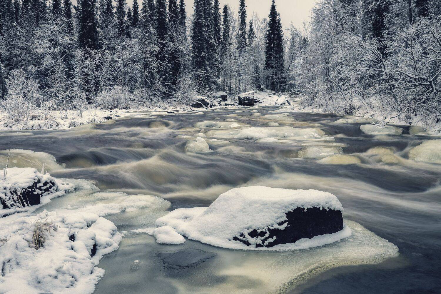 кольский, полуостров, Гусева Елена
