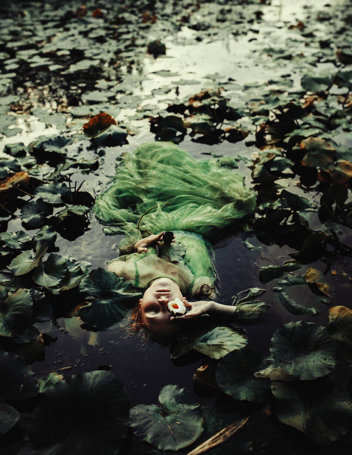 35mm, 4x5, 6x6, 6х6, 85mm, Art, Artnude, Ballerina, Ballet, Battur, Beautiful, Beauty, Canon, Canon 5D Mark III, Car, Color, Dance, Dress, Emotion, Eyes, Face, Flowers, Ganzo, Genre, GirlHair, Hero,LightLilac, Model, Mongol, Mongolia, Вероника Гергерт