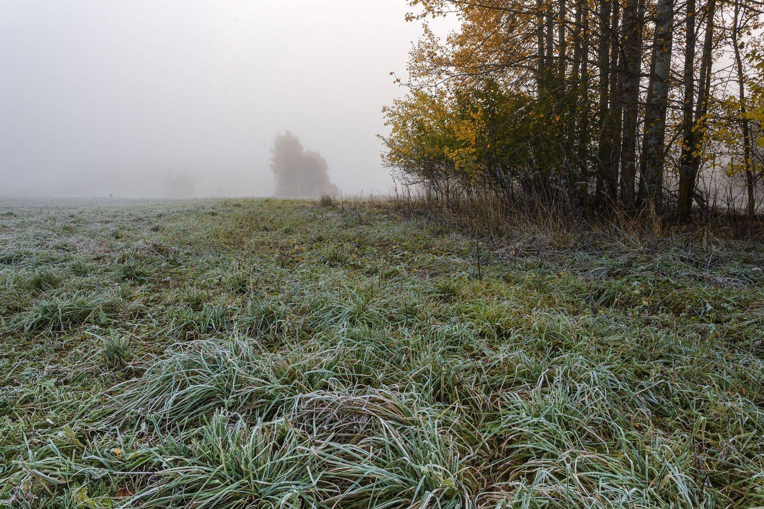 , Зеленько Дмитрий