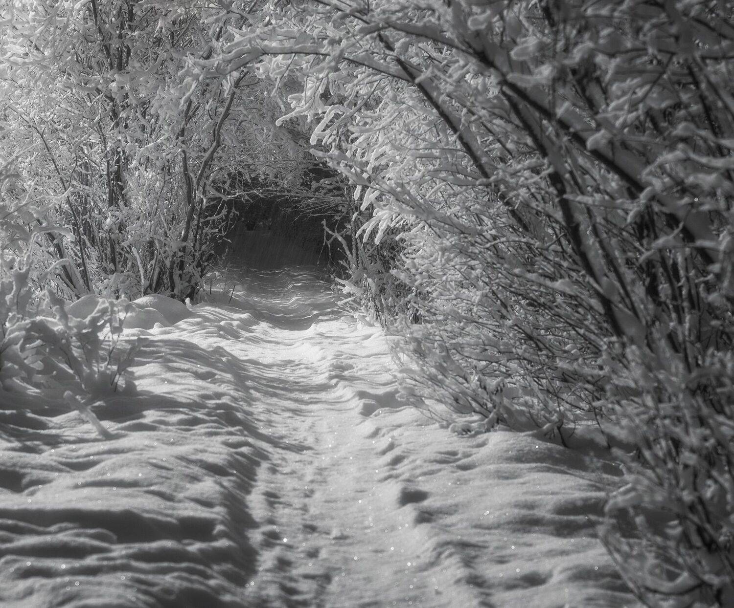 , Федотов Сергей