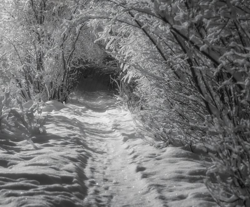 Зимняя тропинка. фото превью