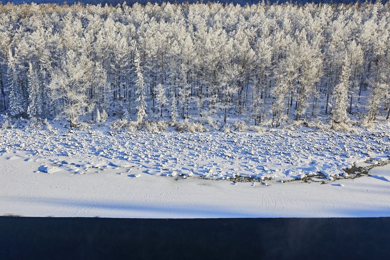 Зимний лес вдоль реки фото превью
