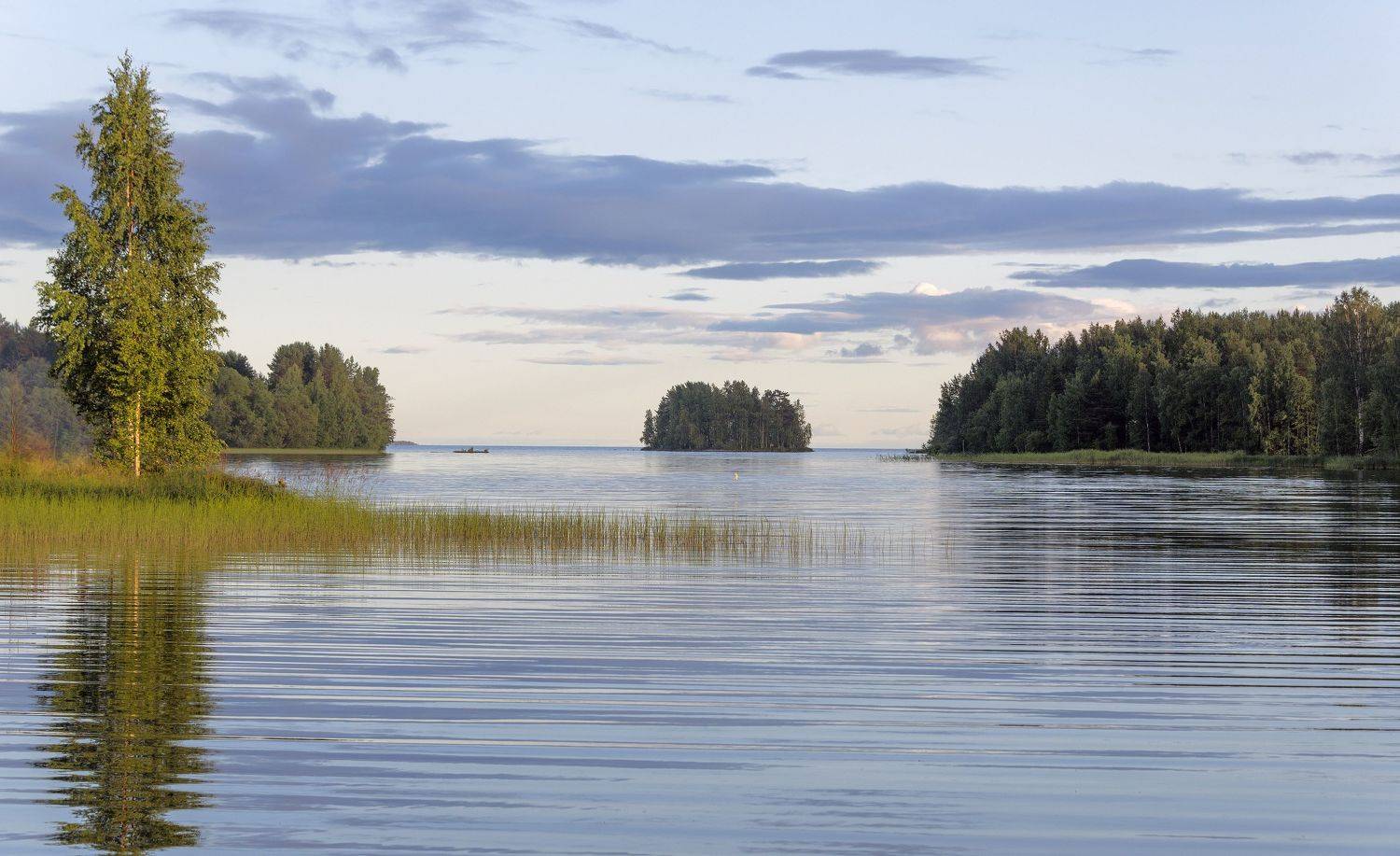 лето, озеро, Онега, Сергей Аникин