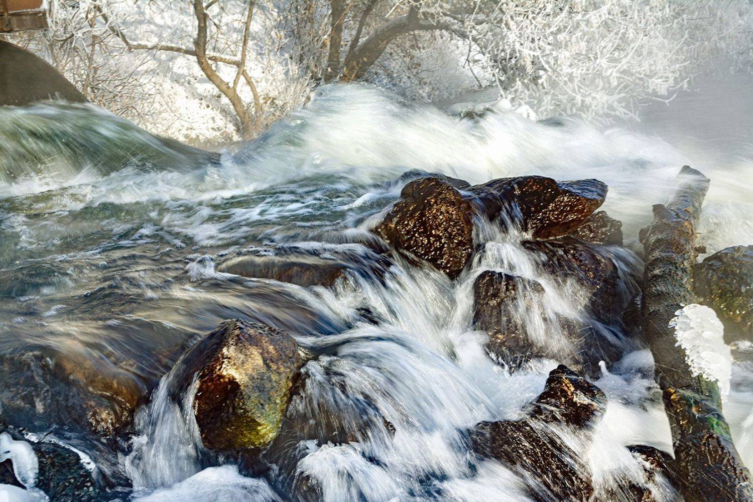 , Анатолий Зверев