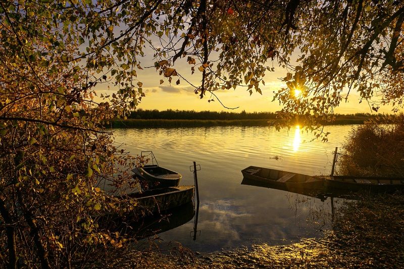 На закате. фото превью